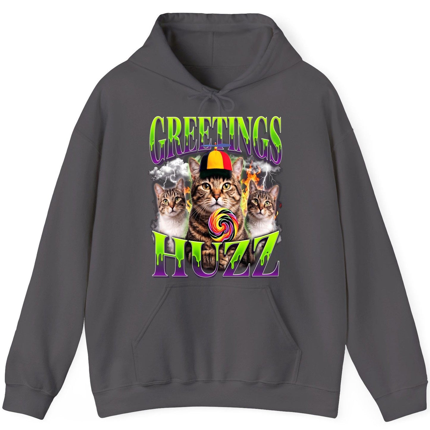 Greetings HUZZ Funny Cat Hoodie - product mockup - Charcoal