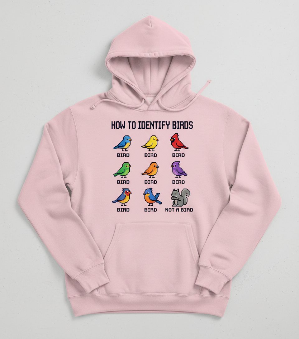 HOW TO Identify BIRDS Funny Birdwatching Hoodie - product mockup - Light Pink
