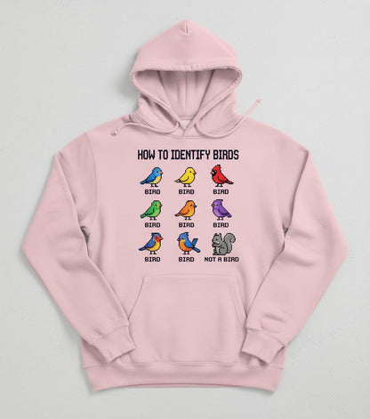 HOW TO Identify BIRDS Funny Birdwatching Hoodie - product mockup - Light Pink
